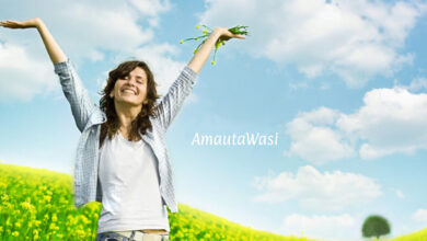 Alineación y Bienestar