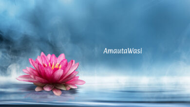 Ministerio de Sanación