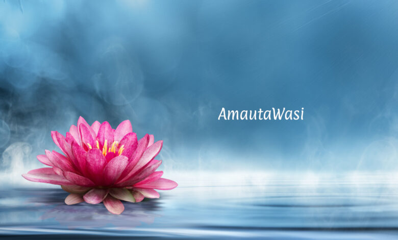 Ministerio de Sanación