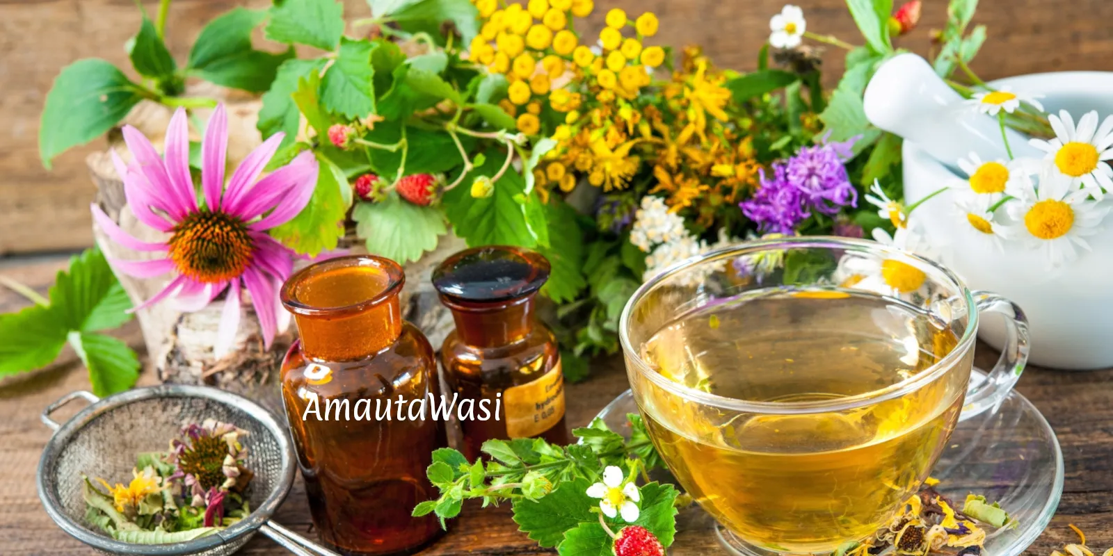 El Método Natural de Salud